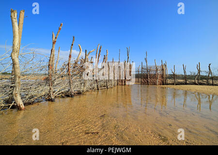 Tradizionale pesce Tsonga trappola costruita nel Kosi bay estuary, Tongaland, Sud Africa Foto Stock