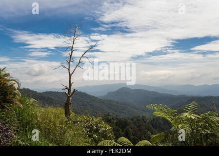 Bellissima vista Banjaran Titiwangsa, Malaysia Foto Stock