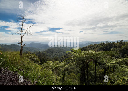 Bellissima vista Banjaran Titiwangsa, Malaysia Foto Stock