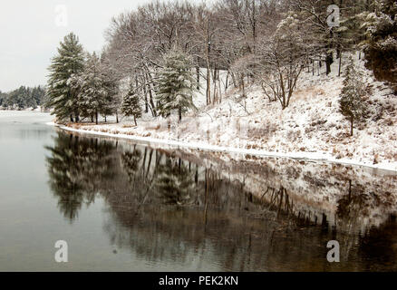 Scena invernale di Southern Ontario Canada nel parco di pini vicino alla grande curva. Foto Stock