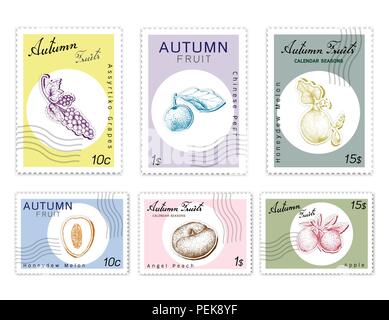 Autunno frutti, Francobolli Set di mano Bozzetto Assyrtiko uva, pera Nashi o il cinese pera, melone Honeydew, Apple e Angel Peach nel quartiere alla moda di Origa Illustrazione Vettoriale