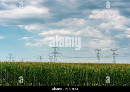Paesaggio di campagna. Linee elettriche ad alta tensione con tralicci metallici su mais con su un blu cielo nuvoloso in un giorno di estate, Alsazia, Francia. Foto Stock