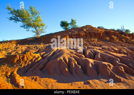 Immagine scattata durante una vacanza in famiglia all'outback territoriale città di Broken Hill nel Nuovo Galles del Sud Australia Foto Stock