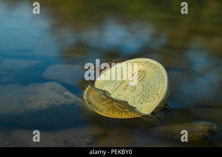 Bitcoin crypto valuta che affonda verso il basso con orso tendenze Foto Stock