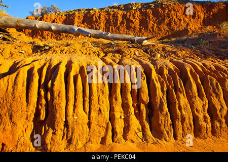 Immagine scattata durante una vacanza in famiglia all'outback territoriale città di Broken Hill nel Nuovo Galles del Sud Australia Foto Stock