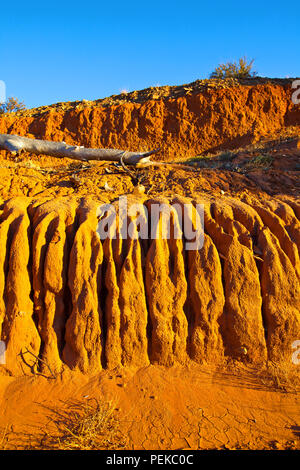 Immagine scattata durante una vacanza in famiglia all'outback territoriale città di Broken Hill nel Nuovo Galles del Sud Australia Foto Stock