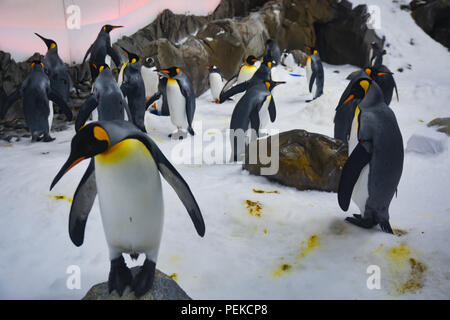 I Pinguini camminare su ghiaccio Foto Stock