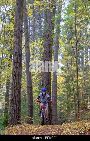 Mountain bike a Hollybank riserva forestale Foto Stock