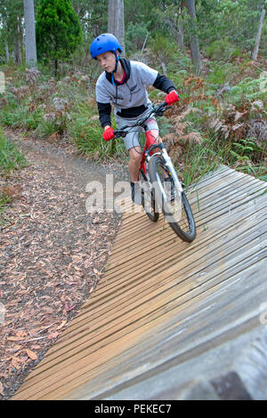 Mountain bike a Hollybank riserva forestale Foto Stock