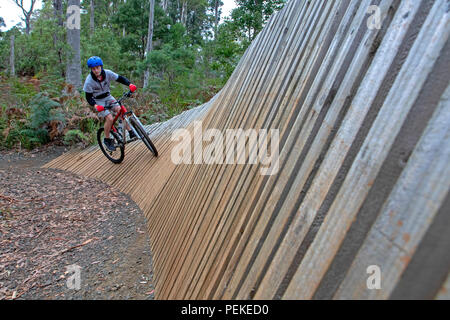 Mountain bike a Hollybank riserva forestale Foto Stock