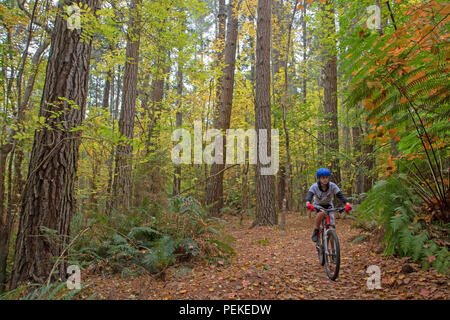 Mountain bike a Hollybank riserva forestale Foto Stock