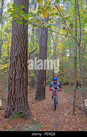 Mountain bike a Hollybank riserva forestale Foto Stock