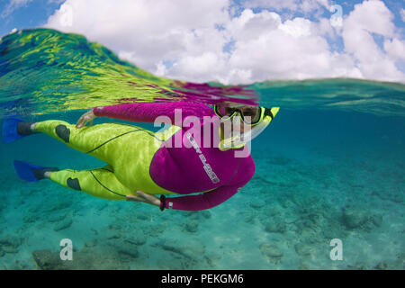 Una metà al di sopra metà al di sotto di scena di una femmina snorkeler (MR) diving libero fuori dell'isola di Bonaire, Antille Olandesi, dei Caraibi. Foto Stock
