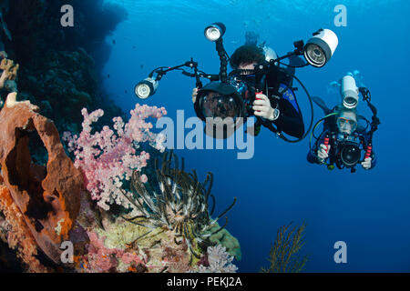 Un subacqueo le riprese di una reflex digitale e un altro subacqueo con una piccola linea di telecamere su un crinoide e soft coral su un reef indonesiano. I subacquei sono mod Foto Stock