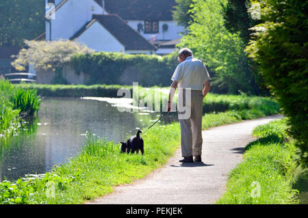 Villaggio allentati, Maidstone, Kent, Regno Unito. Uomo anziano a piedi il suo cane lungo allentato Brooks - la corrente che scorre attraverso il centro del villaggio Foto Stock