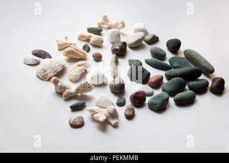 Raccolta di varie pietre di mare, conchiglie e coralli su sfondo bianco Foto Stock