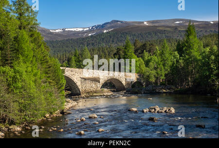 Il vecchio ponte sul fiume Dee a Invercauld vicino a Braemar nelle Highlands della Scozia Foto Stock