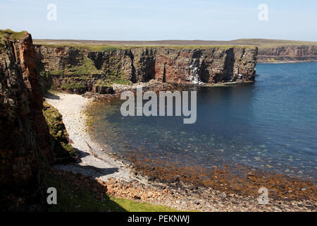 Scogliere a Deerness, isole Orcadi, Scozia Foto Stock