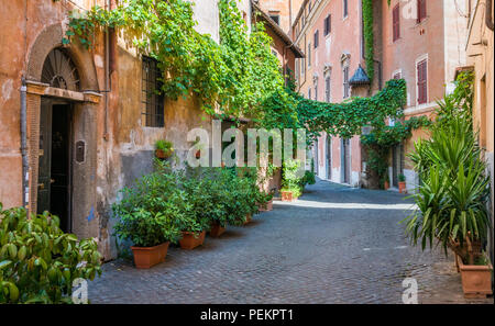 Il pittoresco rione Trastevere in una mattinata estiva a Roma, in Italia. Foto Stock