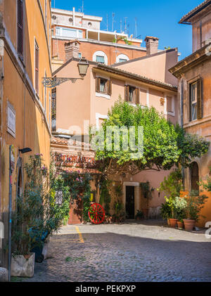 Il pittoresco rione Trastevere in una mattinata estiva a Roma, in Italia. Foto Stock