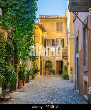 Il pittoresco rione Trastevere in una mattinata estiva a Roma, in Italia. Foto Stock