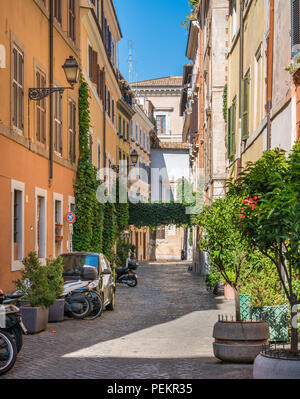 Il pittoresco rione Trastevere in una mattinata estiva a Roma, in Italia. Foto Stock