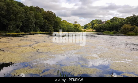 Laghetto nei pressi di ammissioni baita in Lyme Park, Disley in Chesire, Regno Unito- basso angolo di visione Foto Stock