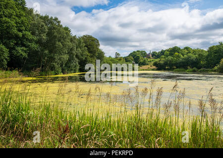 Vegetazione e laghetto nei pressi di ammissioni baita in Lyme Park, Disley in Chesire, Regno Unito Foto Stock