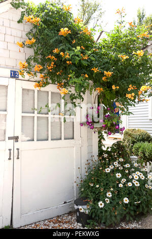 Free-standing, detached incastrata nel garage o capannone con un lucernario accanto a una casa a Cape Cod, Massachusetts. Foto Stock