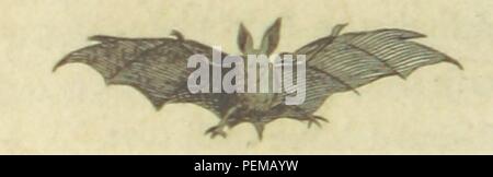 Archivio Storico immagini tratte da pagina 80 del '[poesie.]" Foto Stock