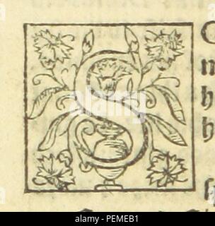 Archivio Storico immagini tratte da pagina 212 del '[il giardino di eloquenza, ecc.]" Foto Stock