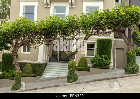 Londra platani e il cordolo home appello di San Francisco, California Foto Stock