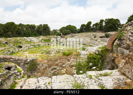 Italia Sicilia siracusa Siracusa Viale Paradiso Neapolis Parco Archeologico Parco Archeologico della Neapolis Anfiteatro Romano stadio tunnel di alberi Foto Stock