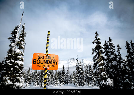 Whisky uccello Jack seduto sulla cima di uno sci in segno di confine con Blackcomb Mountain in background. Foto Stock