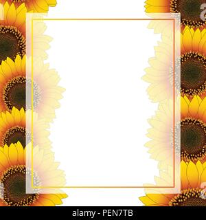 Giallo arancione girasole scheda Banner Border isolati su sfondo bianco. Illustrazione Vettoriale. Illustrazione Vettoriale