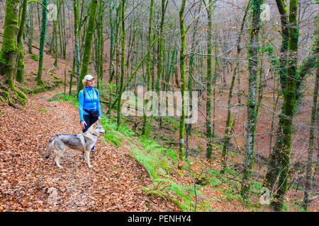 Donna con un cane in legno di faggio. Foto Stock