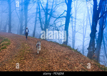 Donna con un cane in legno di faggio. Foto Stock