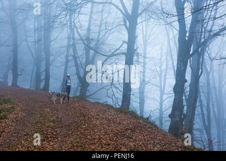 Donna con un cane in legno di faggio. Foto Stock