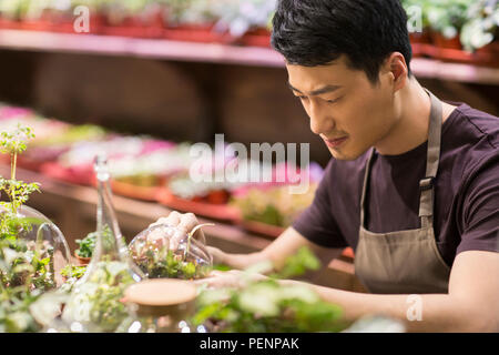 Giovane uomo che lavora nel negozio di vegetali Foto Stock