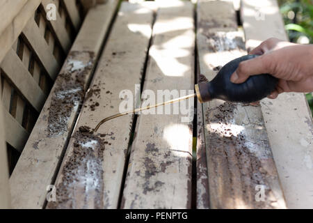 Sterminatore che spruzza insetticida sulle piante Foto stock - Alamy