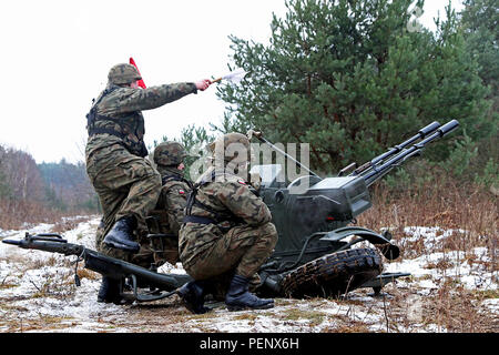 I soldati del 35th Air Defense Squadron (esercito polacco) simulare il funzionamento del 23mm anti-aerei weapon system durante una dimostrazione per i soldati assegnati a una batteria, 5° Battaglione, 7 Difesa aerea della brigata di Artiglieria a sostegno di Panther Assurance, interoperabilità deployment readiness esercizio, 14 Gennaio a Skwierzyna, Polonia. Panther Assicurazione incendi costruisce l'interoperabilità tra gli Stati Uniti e la Polonia di difesa aerea a comunità di artiglieria, rendendo un'alleanza più forte pur dimostrando le nazioni partecipanti le capacità di schierare truppe rapidamente. (U.S. Esercito foto di Sgt. Paige Behringer, decimo Foto Stock