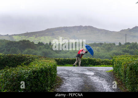 Ardara, County Donegal, Irlanda meteo. Il 17 agosto 2018. Un uomo di lotte lungo una strada in un giorno di forte vento e pioggia pesante su Irlanda del nord-ovest della costa. Credito: Anna Hidalgo-Wayman/Alamy Live News Foto Stock