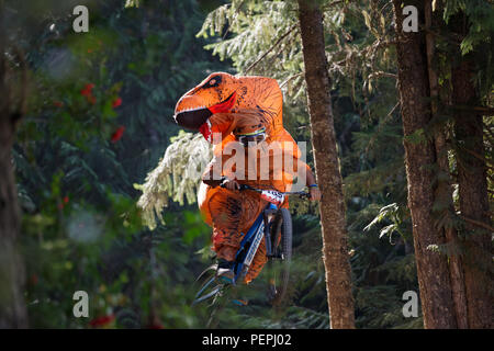 Un ciclista in un costume di dinosauri vola via un salto sulla linea A trail a Whistler Mountain Bike Park durante il 2018 Crankworx festival in bicicletta in Whis Foto Stock