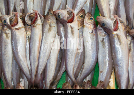 Eglefino nel mercato del pesce Foto Stock