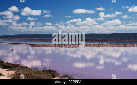 Riflessione al Lago Rosa, rosa laguna a Porto Gregorio, Australia occidentale, Australia, Oceania Foto Stock
