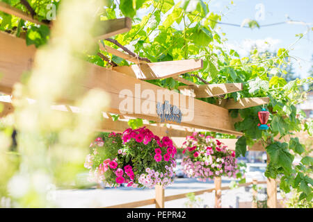 Cestelli in appeso un giardino fiorito in una giornata di sole. Foto Stock