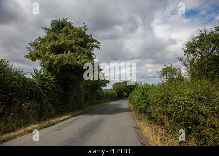 Vicolo del paese in Inghilterra su una giornata d'estate con alberi su entrambi i lati della strada e alcuni cielo blu con nuvole nere che si profila overhead e siepi verdi Foto Stock