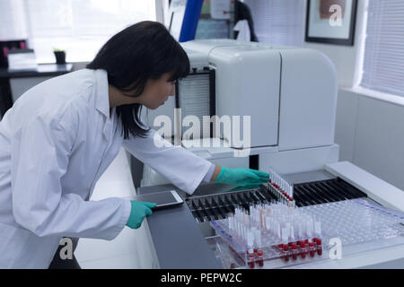 Tecnico di laboratorio di analisi di campioni di sangue Foto Stock