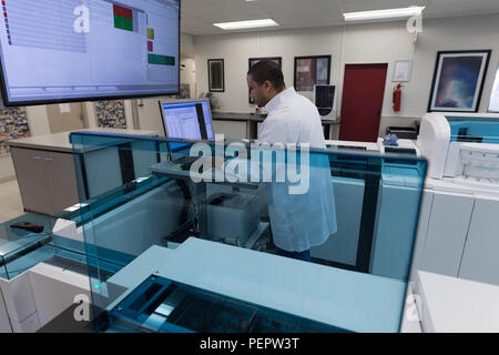 Tecnico di laboratorio lavorando sul computer Foto Stock