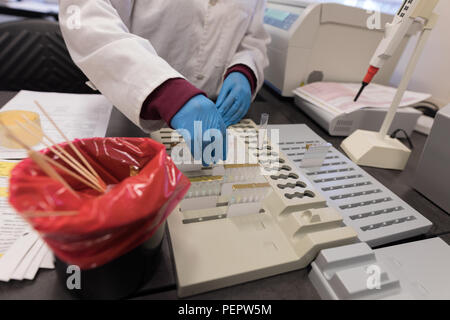 Tecnico di laboratorio a lavorare nella banca del sangue Foto Stock